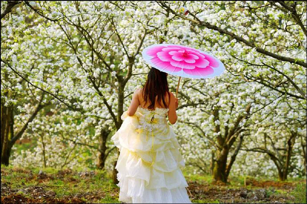 【春天,广西桂林灌阳县向您发出邀请!】我们在灌阳看梨花 - 游山玩水 - 常州生活社区 - 常州28生活网 cz.28life.com