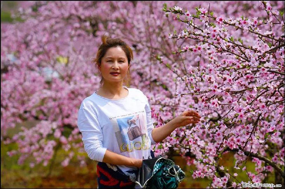 【春天,广西桂林灌阳县向您发出邀请!】官庄村有个醉美的桃花园 - 游山玩水 - 常州生活社区 - 常州28生活网 cz.28life.com