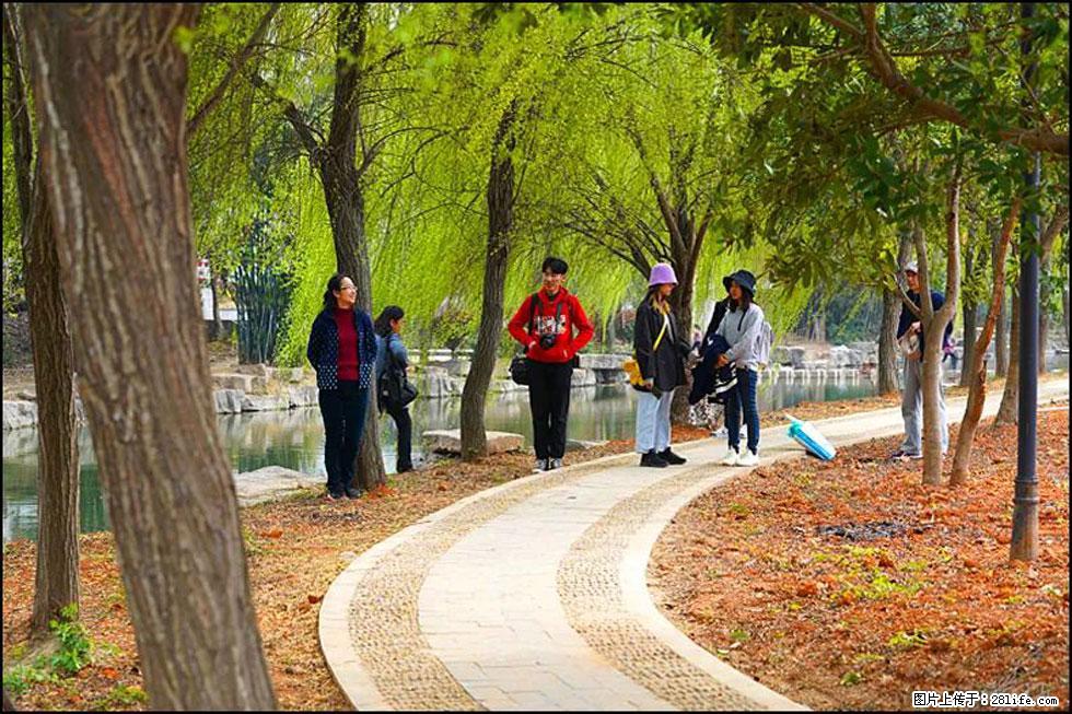 【春天,广西桂林灌阳县向您发出邀请!】江口老街又逢春 - 游山玩水 - 常州生活社区 - 常州28生活网 cz.28life.com