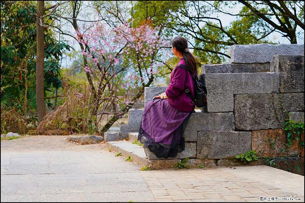 【春天,广西桂林灌阳县向您发出邀请!】江口老街又逢春 - 游山玩水 - 常州生活社区 - 常州28生活网 cz.28life.com