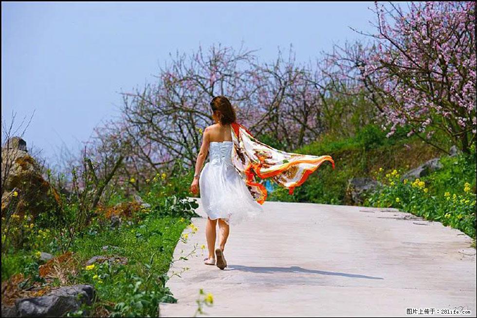 【春天，广西桂林灌阳县向您发出邀请！】望月岭上桃花开 - 游山玩水 - 常州生活社区 - 常州28生活网 cz.28life.com