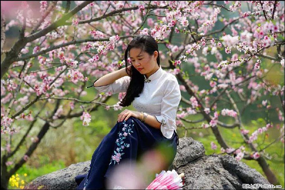 【春天，广西桂林灌阳县向您发出邀请！】望月岭上桃花开 - 游山玩水 - 常州生活社区 - 常州28生活网 cz.28life.com