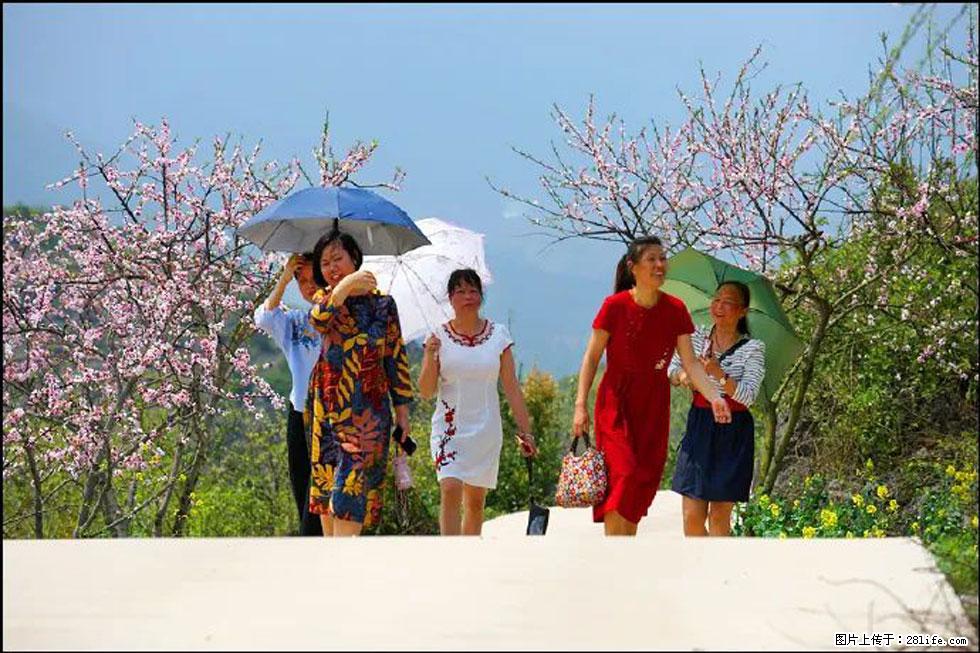 【春天，广西桂林灌阳县向您发出邀请！】望月岭上桃花开 - 游山玩水 - 常州生活社区 - 常州28生活网 cz.28life.com
