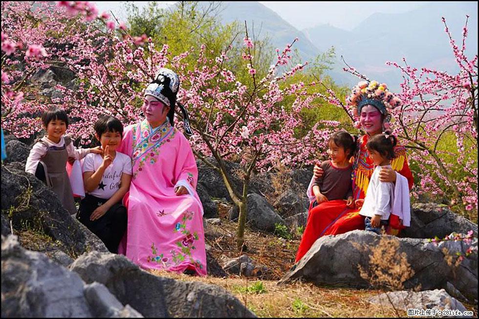 【春天，广西桂林灌阳县向您发出邀请！】望月岭上桃花开 - 游山玩水 - 常州生活社区 - 常州28生活网 cz.28life.com