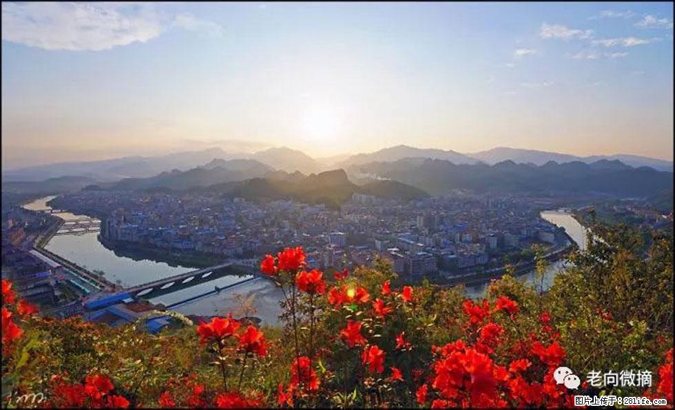【春天,广西桂林灌阳县向您发出邀请!】登麒麟山,相约映山红 - 游山玩水 - 常州生活社区 - 常州28生活网 cz.28life.com