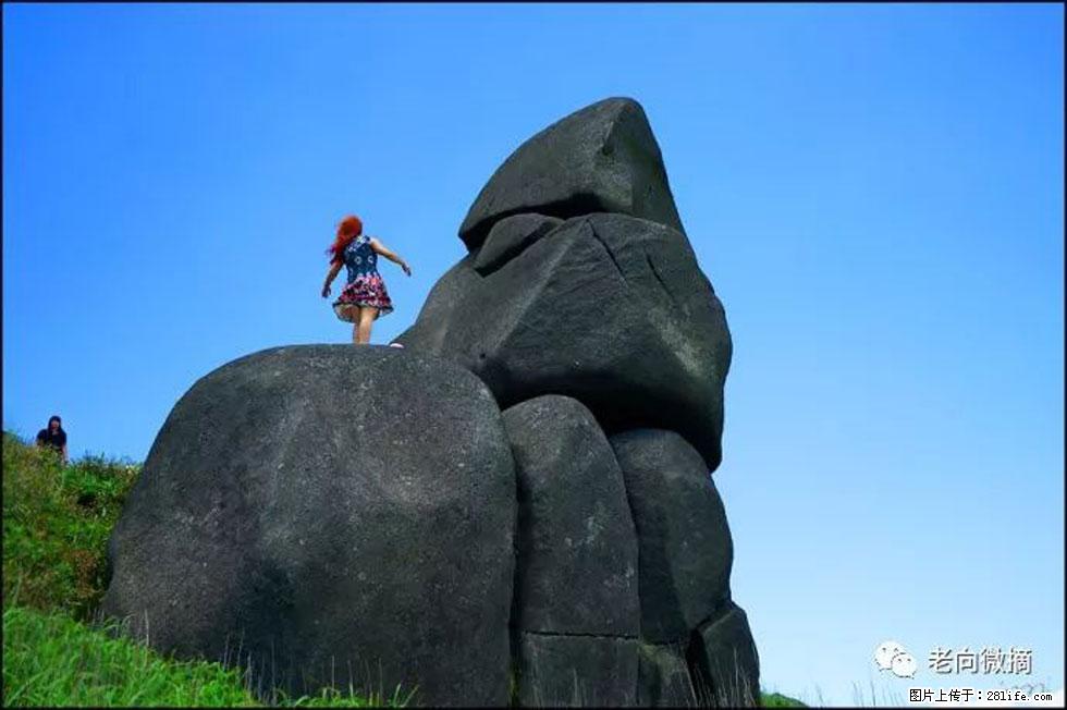 【春天，广西桂林灌阳县向您发出邀请！】宝盖山上映山红 - 游山玩水 - 常州生活社区 - 常州28生活网 cz.28life.com