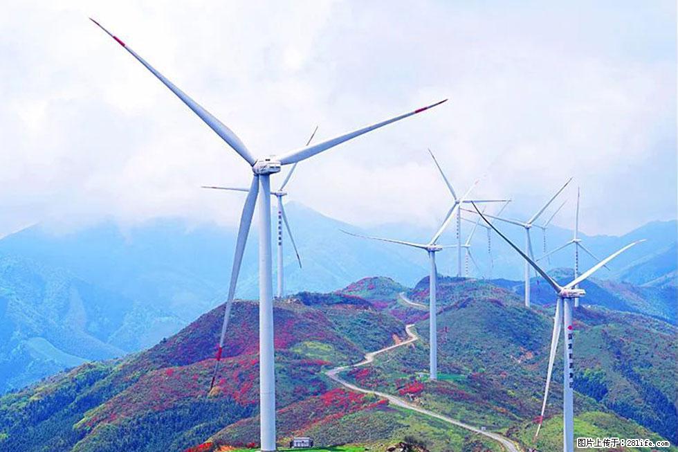 【春天,广西桂林灌阳县向您发出邀请!】春木界上映山红 - 游山玩水 - 常州生活社区 - 常州28生活网 cz.28life.com