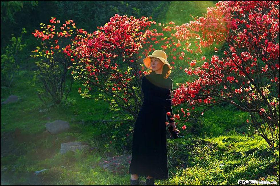 【春天,广西桂林灌阳县向您发出邀请!】春木界上映山红 - 游山玩水 - 常州生活社区 - 常州28生活网 cz.28life.com