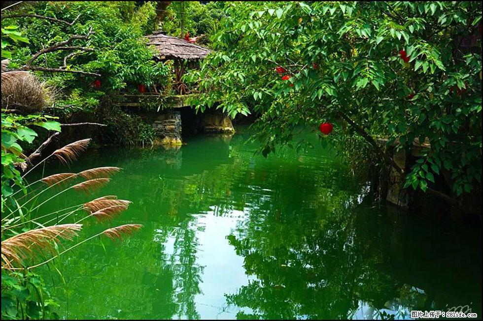 【春天,广西桂林灌阳县向您发出邀请!】如梦似幻莲溪庐 - 游山玩水 - 常州生活社区 - 常州28生活网 cz.28life.com