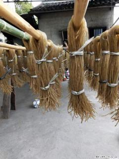 【灌阳正宗红薯粉】美女家里自己做的，干净卫生，假一赔十，价格合理，抢购电话：13737312895 - 常州28生活网 cz.28life.com