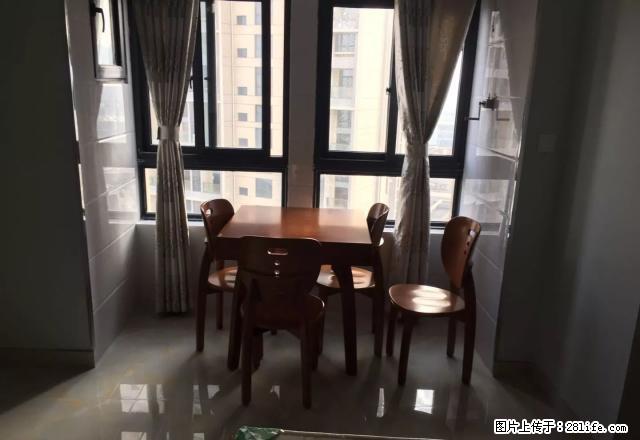 高力国际朝南精装一室,可短租,可日租 - 房屋出租 - 房屋租售 - 常州分类信息 - 常州28生活网 cz.28life.com