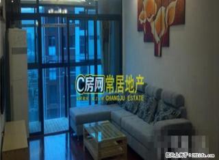 新区公园旁吟风苑精装三房两卫决对的拎包即住欢迎看房 - 常州28生活网 cz.28life.com