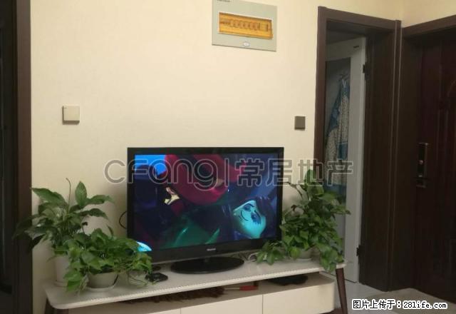 怀德名园旁房子好不好看了就知道，新名园2300元1室1厅1整 - 房屋出租 - 房屋租售 - 常州分类信息 - 常州28生活网 cz.28life.com