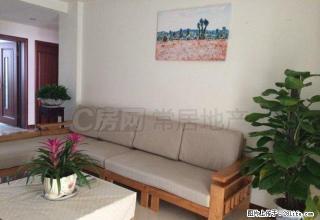 东坡公园旁 电梯房 成熟小区 周边超市 菜场 一应俱全 - 常州28生活网 cz.28life.com