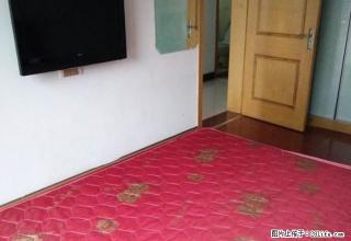 金百国际1室2厅精装修，单独房间，设施全，价格1500元 - 常州28生活网 cz.28life.com