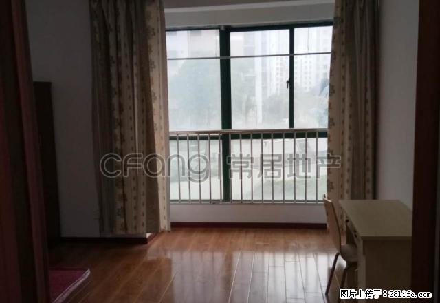 (单间出租)世茂带独卫单间出租 采光好紧靠创意园 家电齐全拎包入住 - 房屋出租 - 房屋租售 - 常州分类信息 - 常州28生活网 cz.28life.com