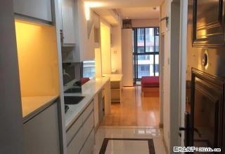 押一付一多套有钥匙 金鹰嘉宏盛世公寓 朝南大阳台九洲莱蒙附近 - 常州28生活网 cz.28life.com