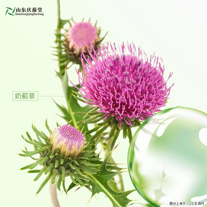 生活中难免有社交需求各种应酬接踵而至，你需要时刻保持身体健康 - 保健品 - 饮食特产 - 常州分类信息 - 常州28生活网 cz.28life.com