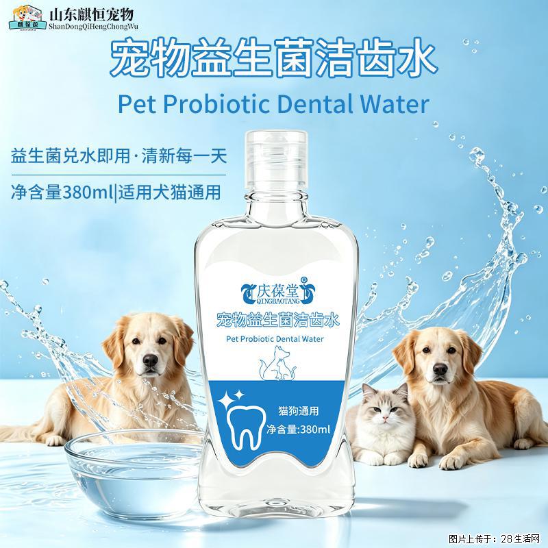 爱宠的日常口腔护理，真的很重要！ - 其它 - 宠物信息 - 恩施分类信息 - 恩施28生活网 es.28life.com