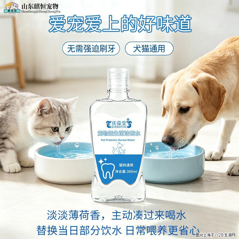 爱宠的日常口腔护理，真的很重要！ - 其它 - 宠物信息 - 恩施分类信息 - 恩施28生活网 es.28life.com