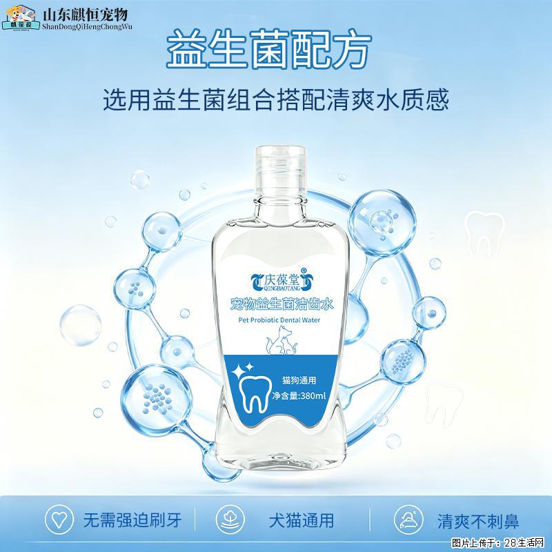 爱宠的日常口腔护理，真的很重要！ - 其它 - 宠物信息 - 恩施分类信息 - 恩施28生活网 es.28life.com