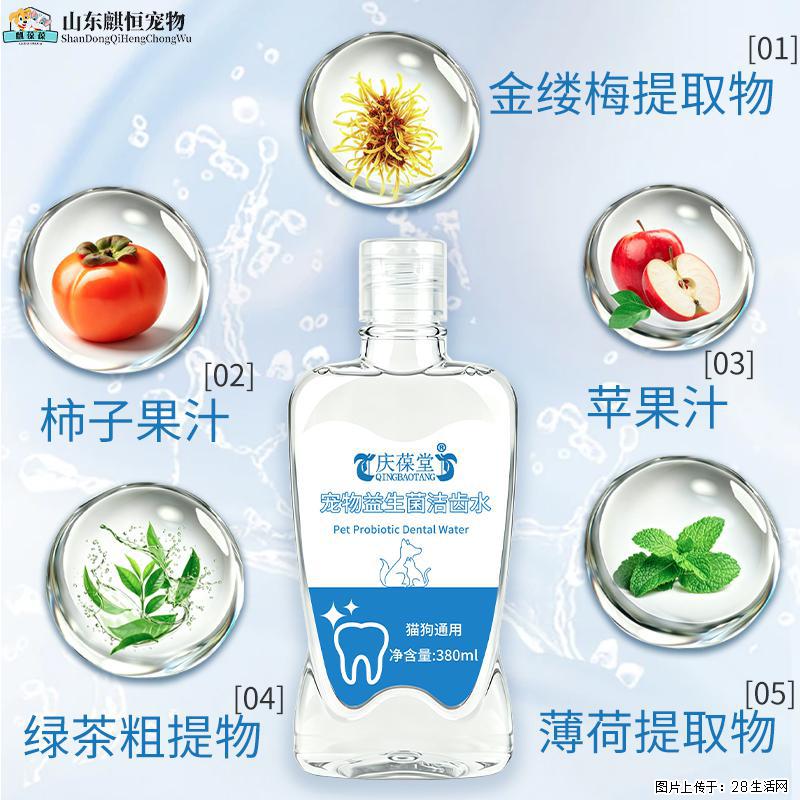 爱宠的日常口腔护理，真的很重要！ - 其它 - 宠物信息 - 恩施分类信息 - 恩施28生活网 es.28life.com