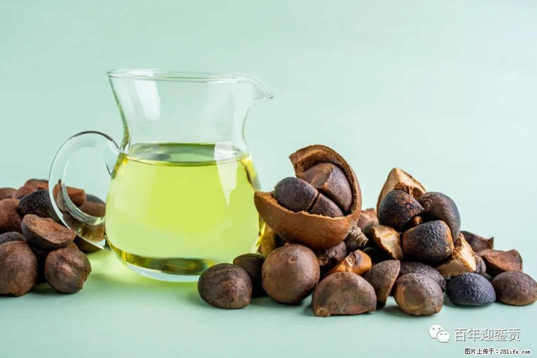 世界没有真相，只有认知，最好的食用油是中国的山茶油！ - 常州生活资讯 - 常州28生活网 cz.28life.com
