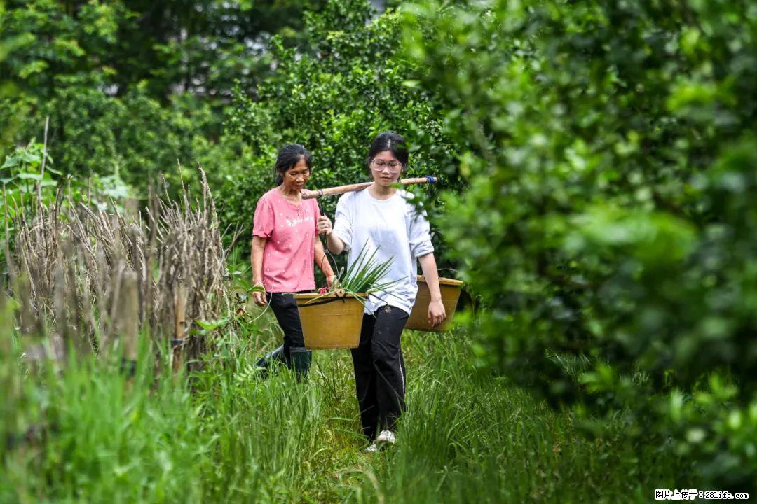 全网追的“扁担女孩”,找了一份暑假工,时薪12元 - 常州生活资讯 - 常州28生活网 cz.28life.com