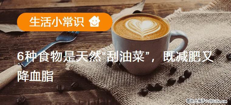 【生活小常识】6种食物是天然“刮油菜”，既减肥又降血脂 - 常州生活资讯 - 常州28生活网 cz.28life.com