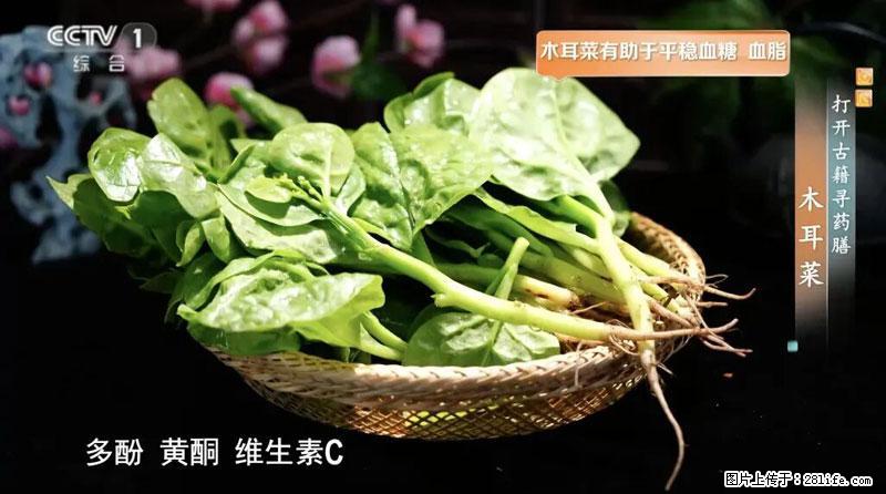 比牛奶补钙还厉害!凉血解毒、稳血糖...这菜冬天必吃,很多人却当草 - 常州生活资讯 - 常州28生活网 cz.28life.com