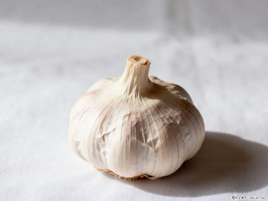 关于大蒜，除了“天然抗生素”，这4个谣言更该警惕! - 常州生活资讯 - 常州28生活网 cz.28life.com