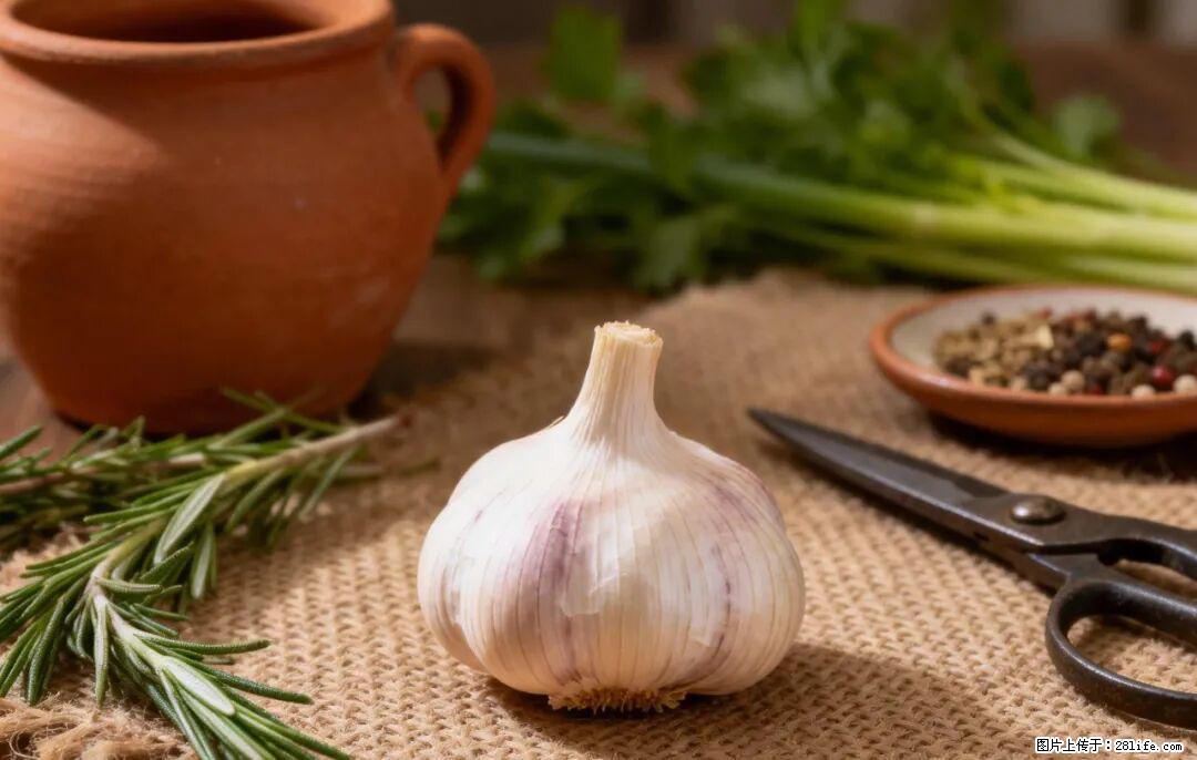 关于大蒜，除了“天然抗生素”，这4个谣言更该警惕! - 常州生活资讯 - 常州28生活网 cz.28life.com