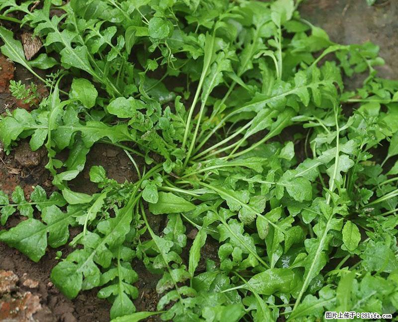 这些蔬菜是“天然钙片”，这6种被医生重点推荐 - 常州生活资讯 - 常州28生活网 cz.28life.com