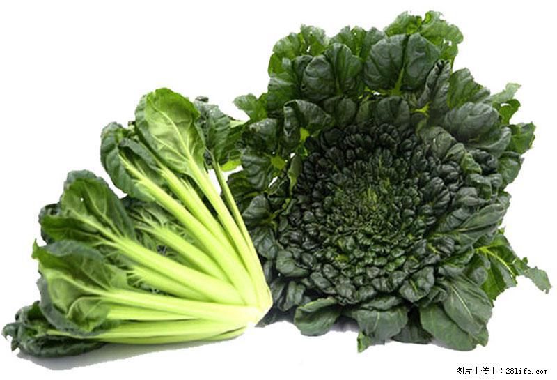 这些蔬菜是“天然钙片”，这6种被医生重点推荐 - 常州生活资讯 - 常州28生活网 cz.28life.com