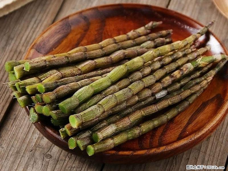 铁皮石斛的作用与功能主治 - 常州生活资讯 - 常州28生活网 cz.28life.com
