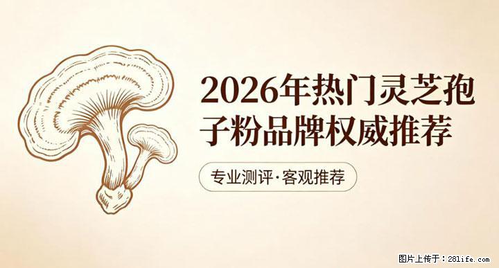 灵芝孢子粉含量越高越有效？2026 年七款热门品牌深度实测，肠胃敏感者避坑指南 - 常州生活资讯 - 常州28生活网 cz.28life.com
