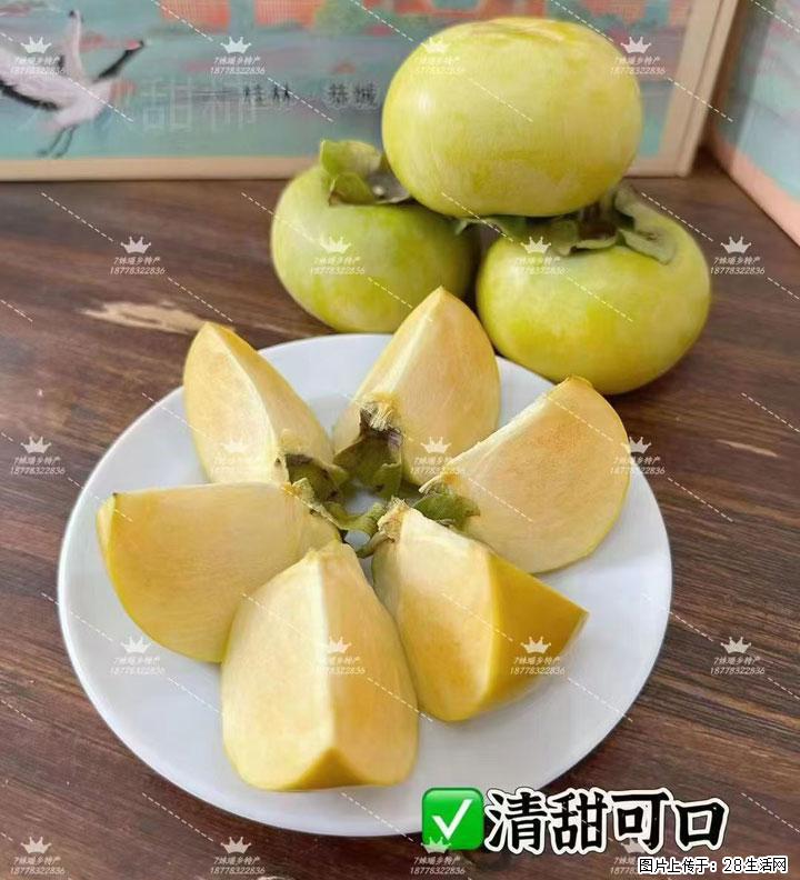 广西桂林平乐桥亭【红心猕猴桃】、【大秋甜柿】上市啦，欢迎各位新老客户下单（另有少量小果出售） - 常州生活资讯 - 常州28生活网 cz.28life.com