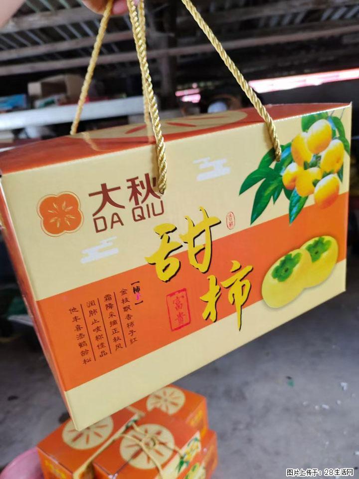 广西桂林平乐桥亭【红心猕猴桃】、【大秋甜柿】上市啦，欢迎各位新老客户下单（另有少量小果出售） - 常州生活资讯 - 常州28生活网 cz.28life.com